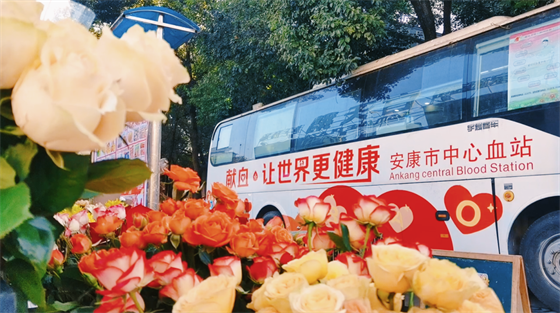 安康這三兄妹，熱血！