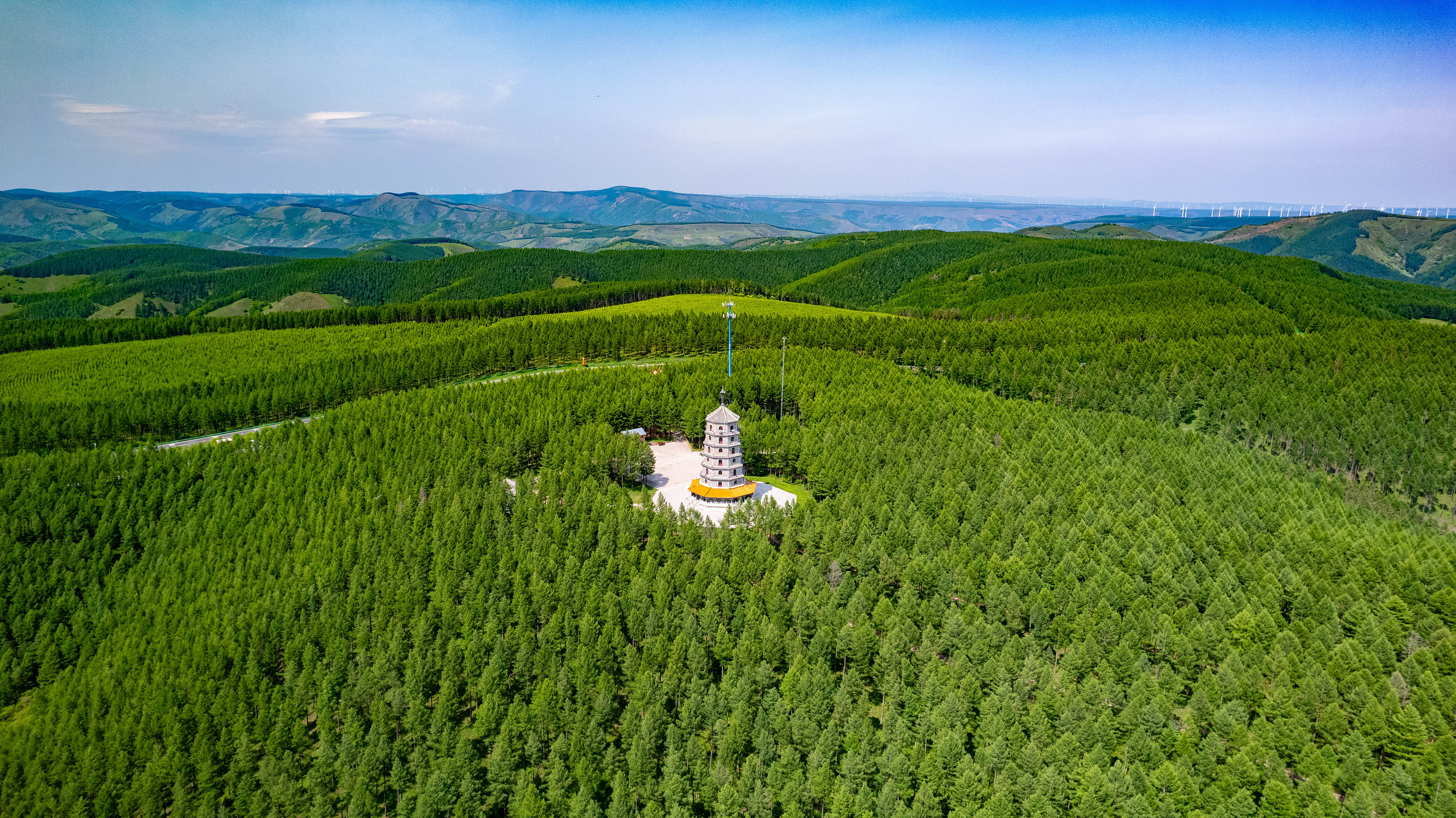 2025年6月11日，河北承德，塞罕壩林海浩渺。